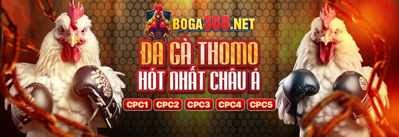 Đá gà trực tuyến K888 trang chủ chính thức